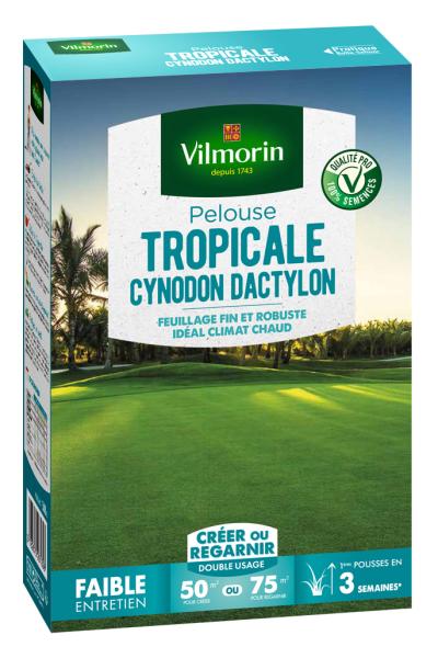 Tropical - Pelouse Tropicale - Kikuyu - 500 g + Cynodon Dactylon - 500 g - MEDIA_EN_SITUATION_1